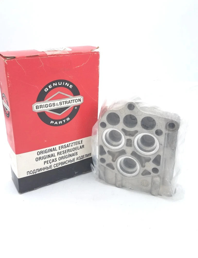 OEM Briggs & Stratton 203631GS KIT-PUMP HEAD OEM